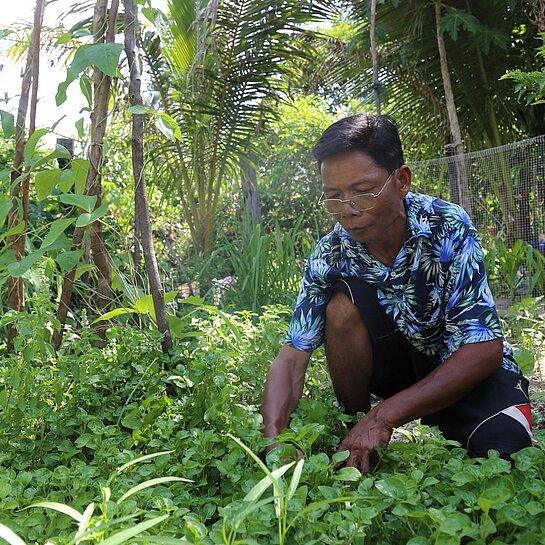 Vater im Gemüsegarten 