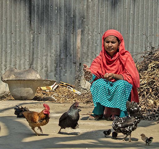 Eine Frau mit Kopftuch hockt nehme eine Schar Hühnern, die sie füttert