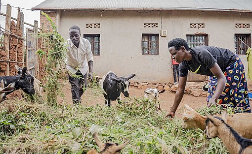 Frida und Theogene sind sich über ihre Zukunft einig: Eine Getreidemühle und die Tieraufzucht finanzieren die Familie Frau und Mann füttern Ziegen