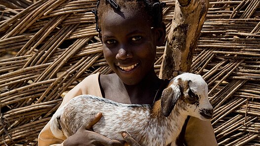 Schafe für Familien in Benin Schafe für Familien in Benin