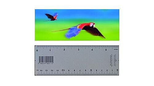 3-D Lineal und Lesezeichen Papagei 3-D Lineal
