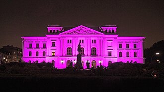 Auch das Rathaus in Altona wird zum Welt-Mädchentag 2018 wieder Pink leuchten. © Plan International / Marc Tornow