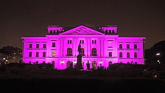 Auch das Rathaus in Altona wird zum Welt-Mädchentag 2018 wieder Pink leuchten. © Plan International / Marc Tornow