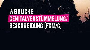 Plan Informationsbroschüre FGM/C