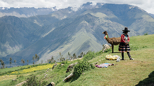 Eine Frau und ein Lama stehen auf einem Berg in den peruanischen Anden.