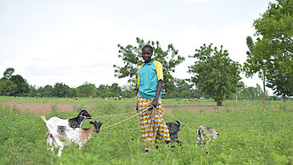 Ein Mädchen steht in einem Feld. Sie hat vier Ziegen an der Leine.