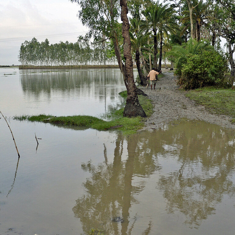Überschwemmte Felder in Bangladesch