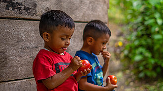 Zwei kleine Jungen sitzen auf einer Bank und essen Äpfel