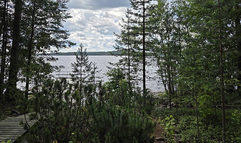Blick aus dem Ferienhaus des Spenders