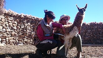Veterinärkits für Bolivien