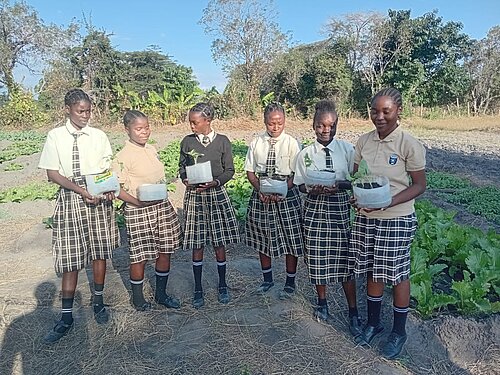 Sieben Schülerinnen in Schuluniformen stehen auf einem Feld und halten kleine Pflanzen in durchsichtigen Behältern in den Händen. Im Hintergrund sind weitere Felder, Bäume und ein blauer Himmel zu sehen.