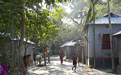 Ein vom Sonnenlicht durchflutetes Dorf im Norden von Bangladesch mitten im Wald Ein vom Sonnenlicht durchflutetes Dorf im Norden von Bangladesch mitten im Wald