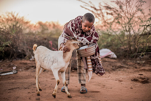 Ein zwölfjähriges Mädchen aus Somalia gibt einer abgemagerten Ziege Wasser aus einer Schüssel