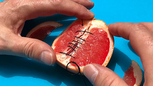 Bei der weiblichen Genitalverstümmelung wird die Vulva bis auf ein kleines Loch zugenäht. Grapefruit wird zusammengenäht.