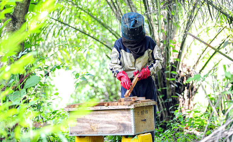 Gifty steht mitten im Wald und kümmert sich um ihren Bienenstock.