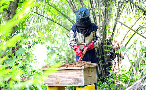 Gifty steht mitten im Wald und kümmert sich um ihren Bienenstock. Gifty steht mitten im Wald und kümmert sich um ihren Bienenstock.