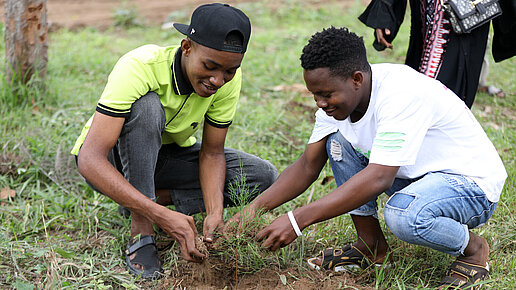Mit diesem Projekt soll die Aufforstung lokaler Waldgebiete gefördert werden.