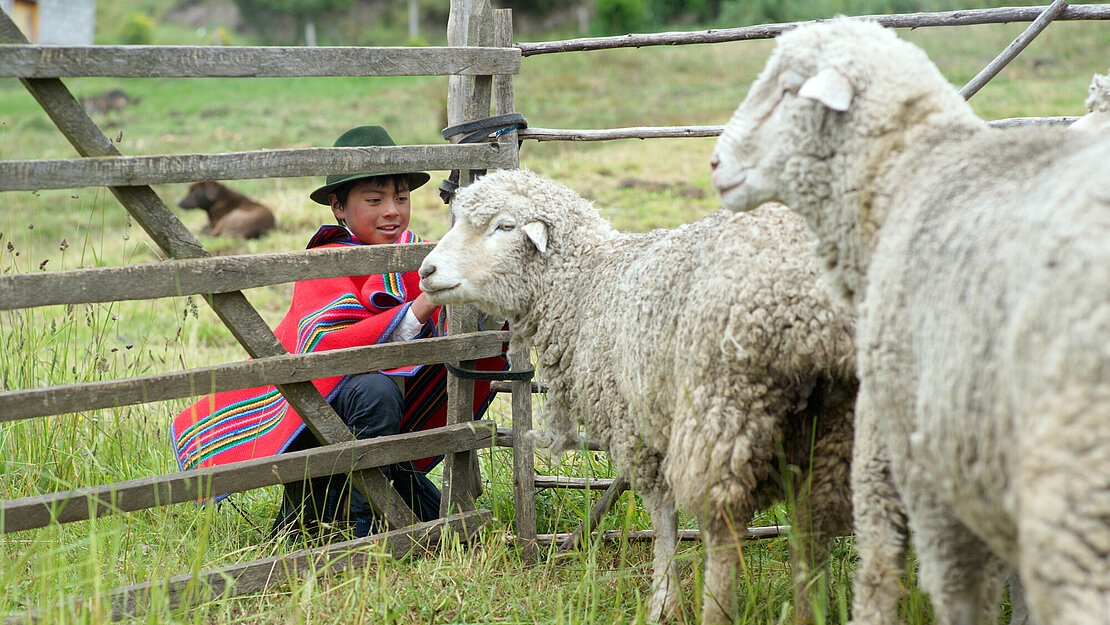 Ein Junge sitzt vor einem Zaun und streichelt durch das Gitter ein Schaf