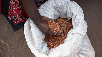 Frauen im Südsudan rationieren jedes Kilogramm Sorghum, um die Ernährung ihrer Familien sicherzustellen. © Plan International/ Charles Atiki Lomodong