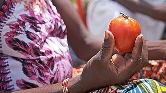 Eine Handvoll Tomaten