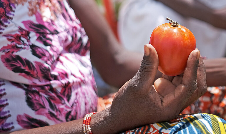 Eine Handvoll Tomaten