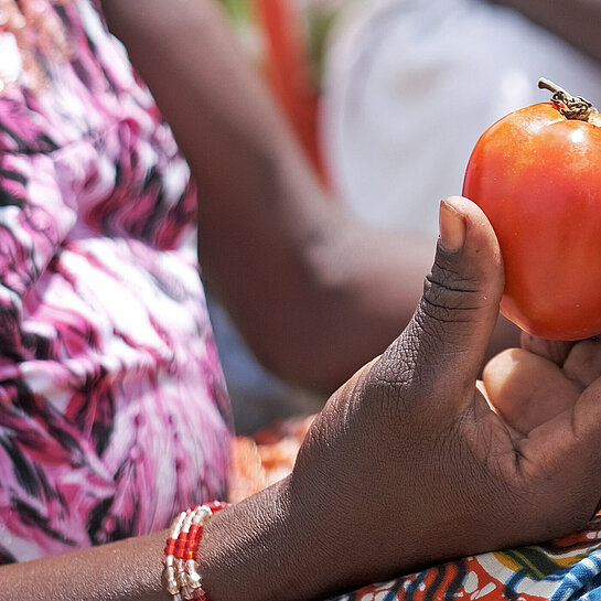 Eine Handvoll Tomaten