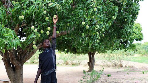 Ausbildung in nachhaltiger Landwirtschaft in Sambia
