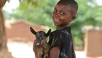 Ziegen für eine Ziegenzucht in Malawi