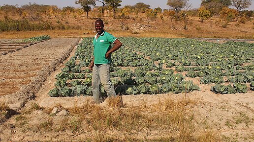 Ausbildung in nachhaltiger Landwirtschaft in Sambia
