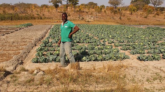 Ausbildung in nachhaltiger Landwirtschaft in Sambia