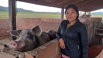 Schweine für eine Schweinezucht in Bolivien