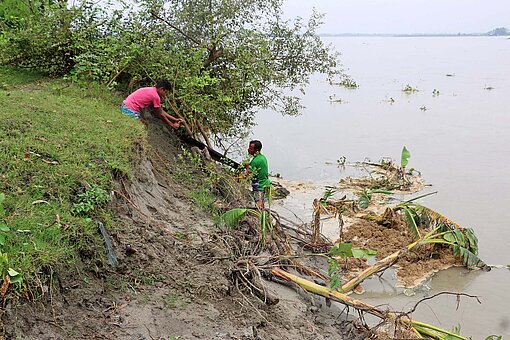 Landwirte kämpfen im Bezirk Kurigram im Norden von Bangladesch mit den Folgen einer Überschwemmung Zwei Landarbeiter fällen einen Baum