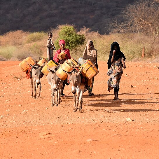 Mehrere Frauen führen Esel, die mit Wasserkanistern beladen sind, auf einem trockenen Weg durch die Landschaft.