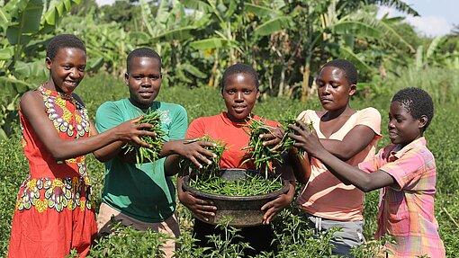 Wir stärken Frauen durch nachhaltige Landwirtschaft. © Walipa Pictures / Bild stammt aus einem ähnlichen Plan-Projekt in Uganda.
