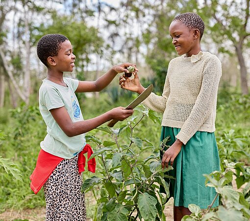 Elizabeth und ihre Freundin ernten Auberginen im Schulgarten