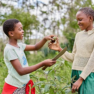 Elizabeth und ihre Freundin ernten Auberginen im Schulgarten