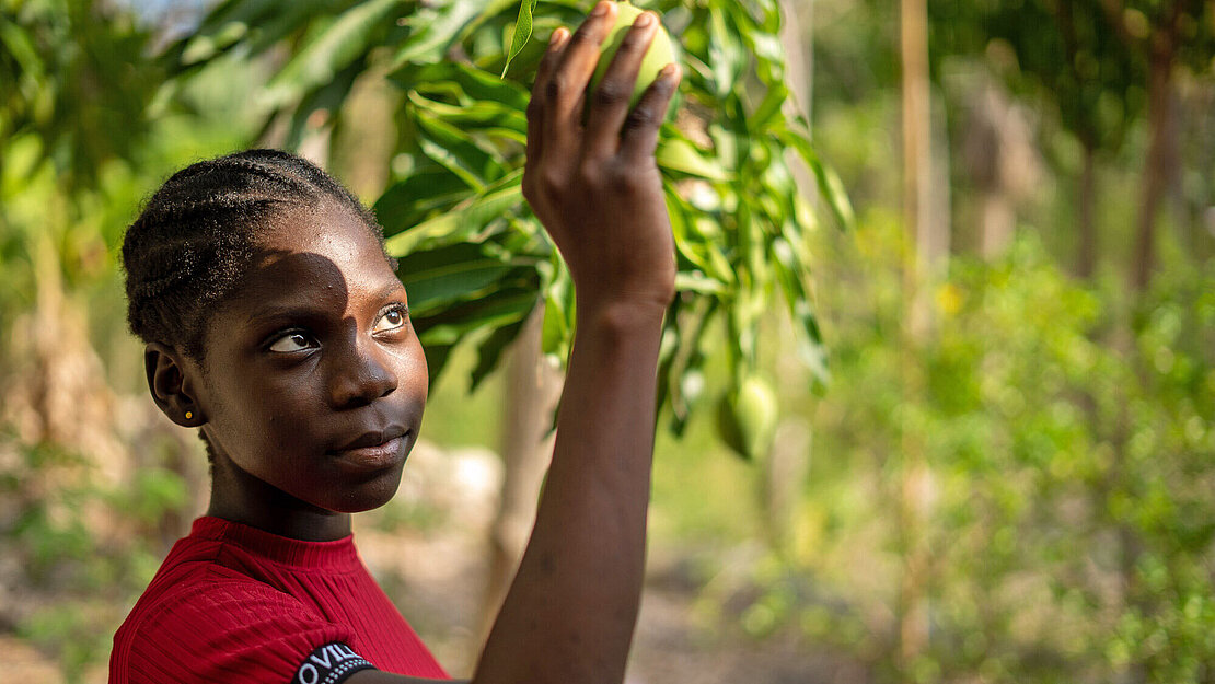 Ein junges Mädchen pickt Früchte