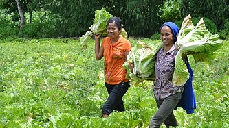 Vincotech verzichtet auf Weihnachtsgeschenke und spendet an Plan