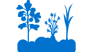 Icon eines Gemüsebeets.