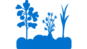 Icon eines Gemüsebeets.