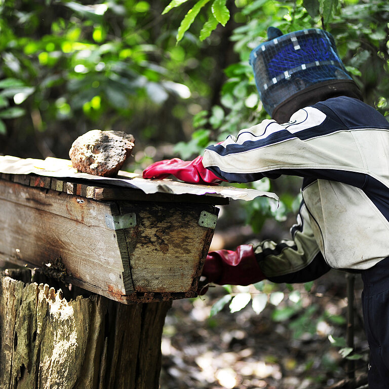Die Imkerin Gifty kümmert sich in einem grünen Wald um einen Bienenstock. Sie trägt Schutzkleidung.