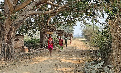Frauen laufen auf einem sandigen Feldweg unter Bäumen