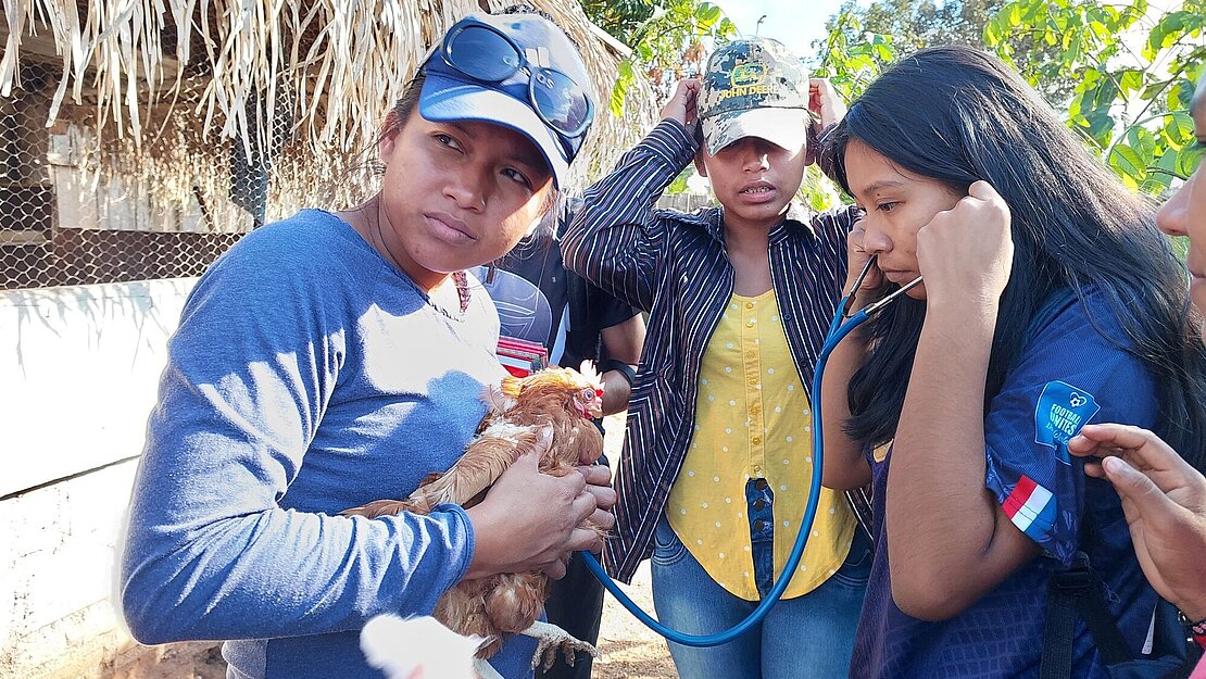 Eine Jugendliche hält eine Huhn auf dem arm, während eine andere mit einem Stetoskop die Vitalwerte des Tieres überprüft.