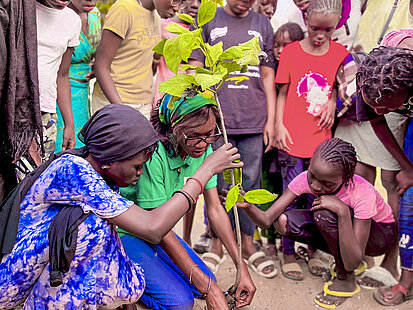 Menschen pflanzen gemeinsam einen Baum