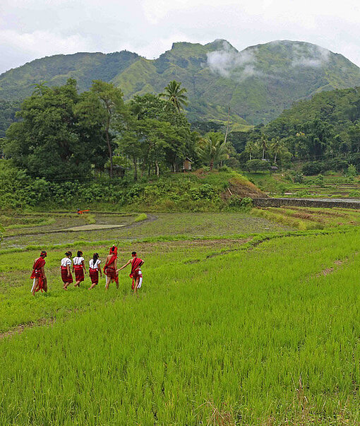 Menschen laufen durch ein Reisfeld