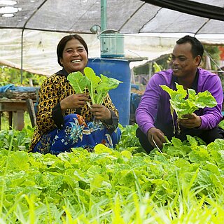 Ein Mann und eine Frau hocken inmitten von saftigen Salatpflanzen in einem Gewächshaus und halten lachend Salatpflänzchen in den Händen