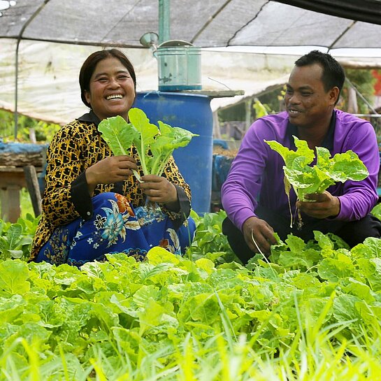 Ein Mann und eine Frau hocken inmitten von saftigen Salatpflanzen in einem Gewächshaus und halten lachend Salatpflänzchen in den Händen