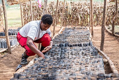 Ein Projektteilnehmer arbeitet in einer Baumschule. Er kniet zwischen Reihen von Pflanzsäcken aus schwarzer Folie und bereitet Setzlinge vor. Umgeben ist er von Holzgestellen und einem einfachen Zaun aus Ästen.