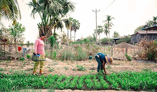 In Kambodscha leben viele Familien vom Gemüseanbau – so auch in der Provinz Stung Treng Mutter und Tocher auf einem Feld