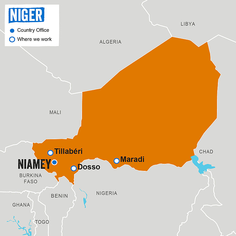 Grafik: Landkarte, auf der Niger hervorgehoben ist